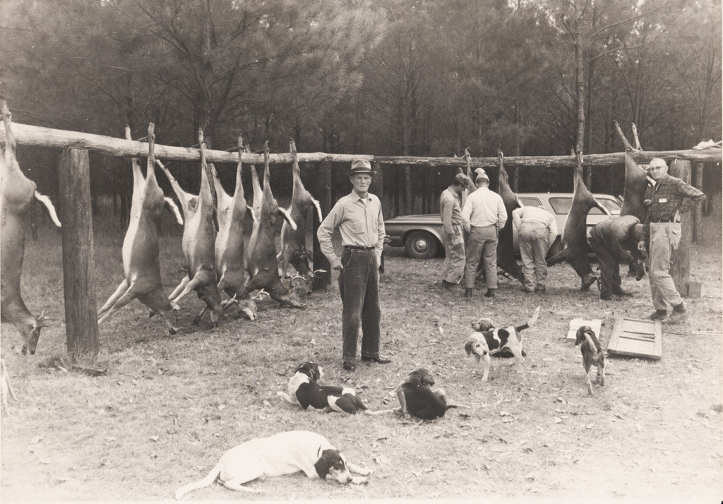 Deer Hunting Lodge in Alabama